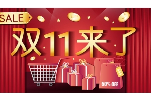 俄羅斯速賣通全力備戰雙11，物流能力提升4倍