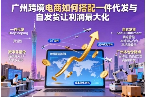 廣州跨境電商如何搭配一件代發(fā)與自發(fā)貨讓利潤(rùn)最大化