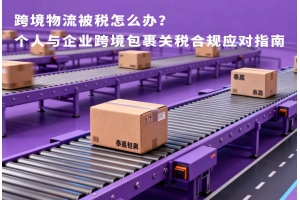 跨境物流被稅怎么辦？個人與企業(yè)跨境包裹關稅合規(guī)應對指南