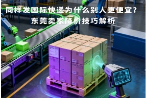 同樣發(fā)國際快遞為什么別人更便宜？東莞賣家降價技巧解析