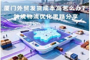 廈門外貿發貨成本高怎么辦？跨境物流優化思路分享