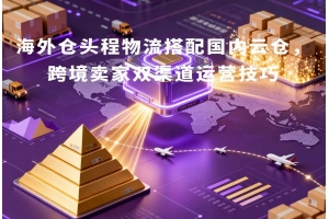 海外倉頭程物流搭配國內云倉，跨境賣家雙渠道運營技巧