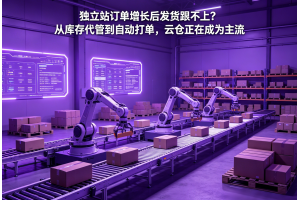 獨立站訂單增長后發貨跟不上？從庫存代管到自動打單，云倉正在成為主流