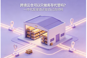 跨境云倉可以只做庫存代管嗎？一件代發渠道還能自己選擇嗎