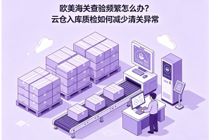 歐美海關查驗頻繁怎么辦？云倉入庫質檢如何減少清關異常