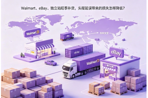 Walmart、eBay、獨立站旺季補貨，頭程延誤帶來的損失怎樣降低？
